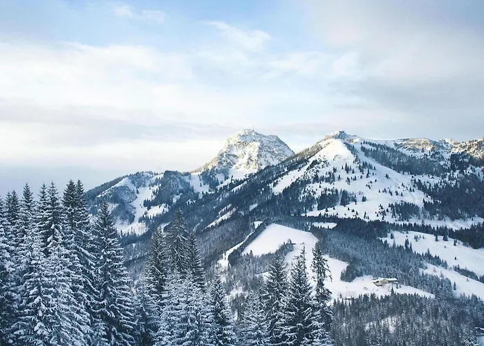 In Near Lift Апартаменты Байришцелль