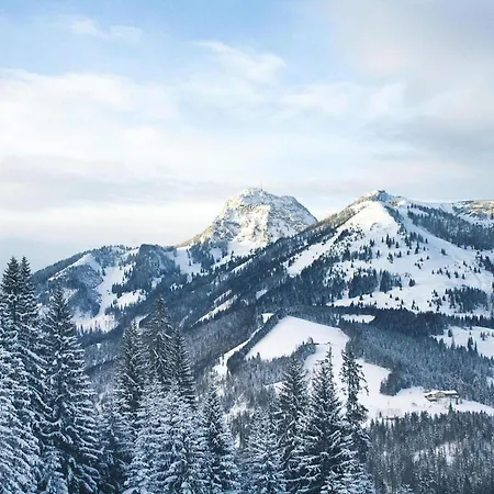 Beautiful In The Alps Near Apartment Bayrischzell